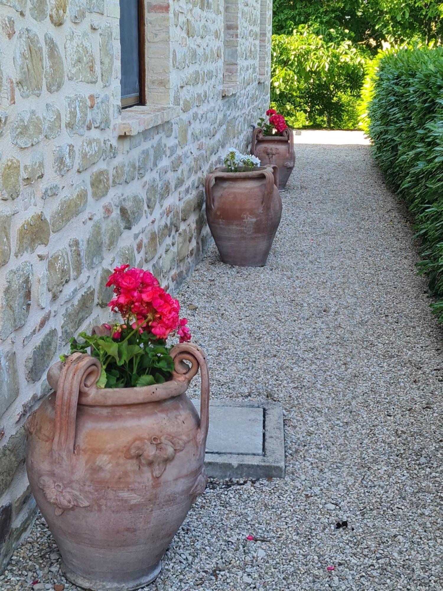 La Mela Rosa Bed & Breakfast Amandola Exteriör bild